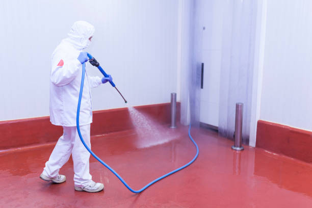 Reliable Walcott, IA Pressure Washing Solutions