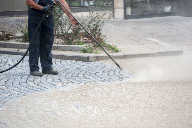 Best Pre-Holiday Cleaning  in Walcott, IA