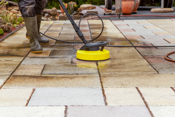 Animal Enclosure Cleaning in Walcott, IA