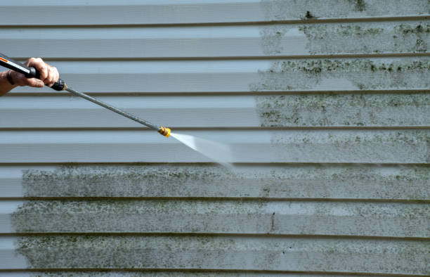 Best Solar Panel Cleaning  in Walcott, IA